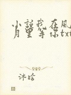 小说我在风花雪月里等你txt封面