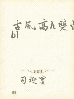 古风高h双性受bl