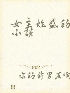 女主姓盛的现代小说