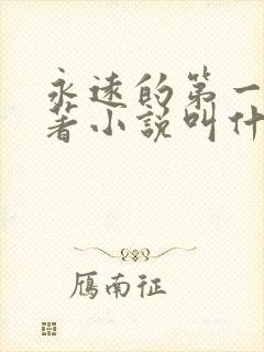 永远的第一名原著小说叫什么封面