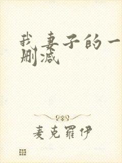 我妻子的一切无删减