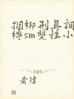 捆绑刑具调教束缚sm双性小说