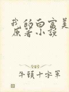 我的白富美老婆原著小说封面