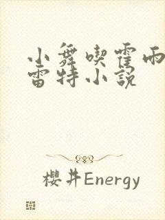 小舞吃霍雨浩巴雷特小说