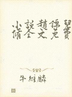 小说赵锦儿秦慕修全文免费阅读免费