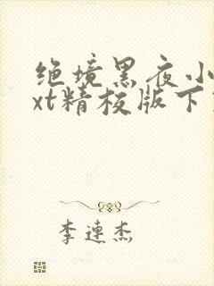 绝境黑夜小说txt精校版下载