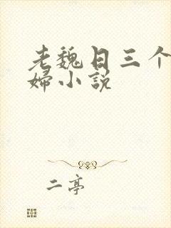 老魏日三个儿媳妇小说