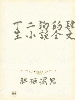 丁二狗的肆意人生小说全文阅读完整版下载