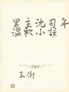 男主沈司年女主温软小说