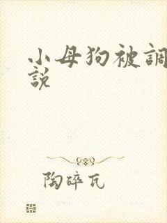 小母狗被调教小说
