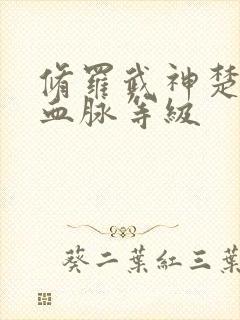 修罗武神楚枫的血脉等级