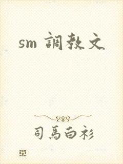 sm 调教文封面