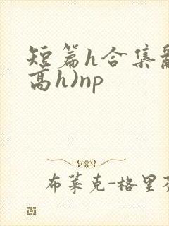 短篇h合集乱(高h)np