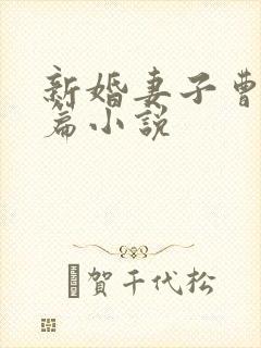 新婚妻子曹仁全篇小说