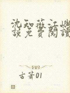 沈知薇江屿白小说免费阅读最新章节