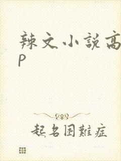辣文小说高hnp