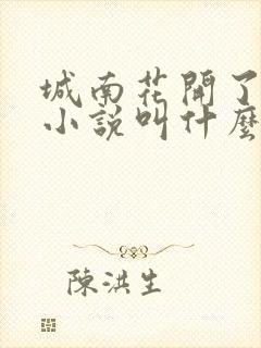 城南花开了原著小说叫什么