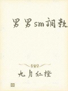 男男sm调教文封面