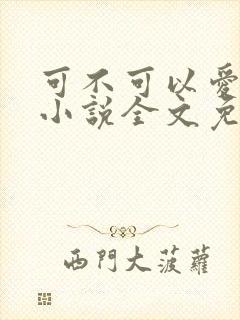 可不可以爱上我小说全文免费阅读