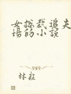 女总裁追夫火葬场的小说