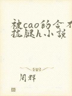 被cao的合不拢腿h小说