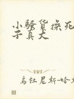 小骚货操死你奶子真大