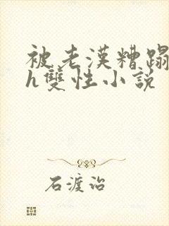 被老汉糟蹋怀孕h双性小说封面