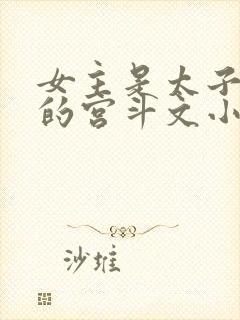 女主是太子妾室的宫斗文小说