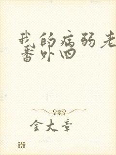 我的病弱老婆 番外四