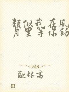 类似我在风花雪月里等你的小说