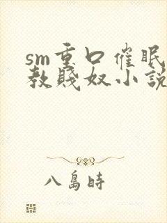 sm重口催眠调教贱奴小说封面