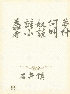 为谁奴何梦蓉原著小说叫什么名字