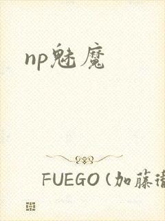 np魅魔