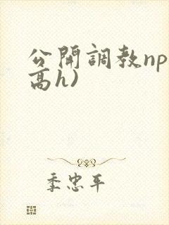 公开调教np(高h)