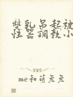 双乳吊起被各种性器调教小说文章