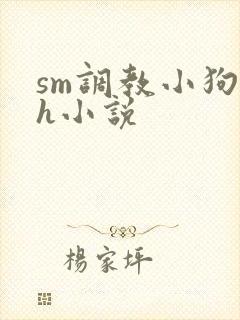 sm调教小狗高h小说