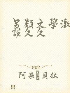 另类文学激情小说久久