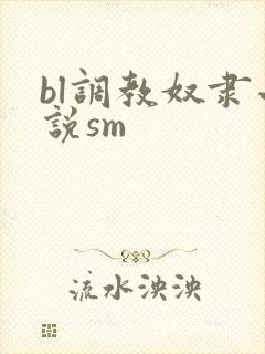 bl调教奴隶小说sm封面