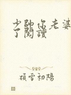 少帅你老婆又跑了阅读