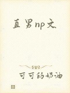 直男np文