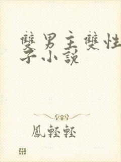 双男主双性别产子小说封面