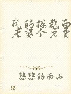 我的总裁白富美老婆全免费的小说