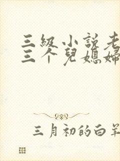 三级小说老扒和三个儿媳妇陈法蓉封面