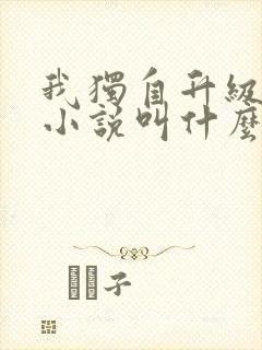 我独自升级原著小说叫什么