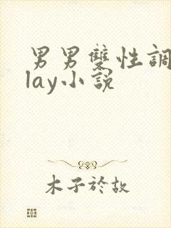 男男双性调教play小说