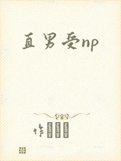 直男受np