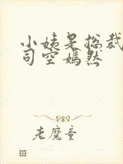 小姨是总裁叶凡司空嫣然