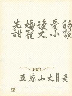 先婚后爱的豪门甜宠文小说