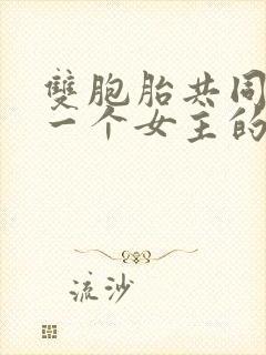 双胞胎共同享有一个女主的小说