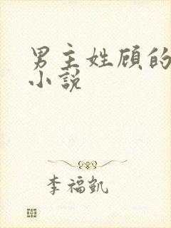 男主姓顾的军婚小说封面